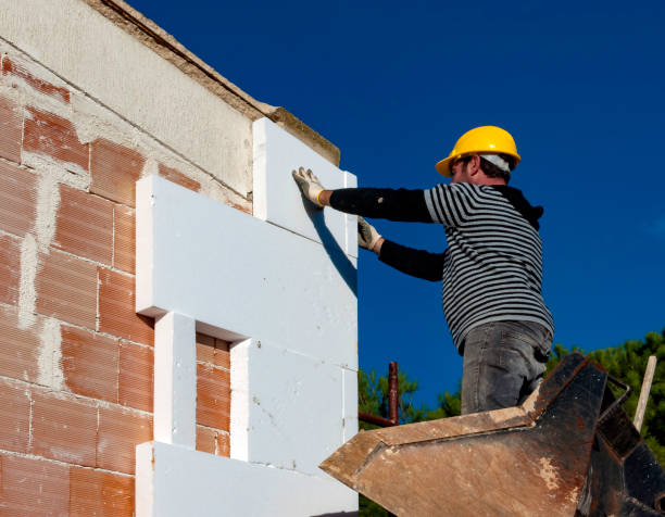 Best Home Insulation Services  in Hemphill, TX