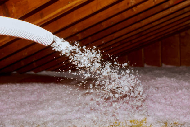 Best Cellulose Insulation  in Hemphill, TX