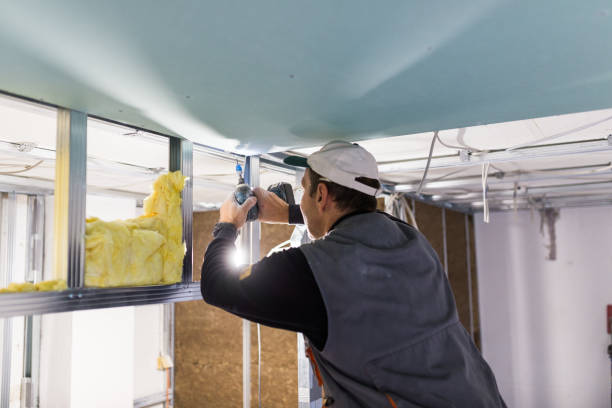 Best Insulation Removal  in Hemphill, TX