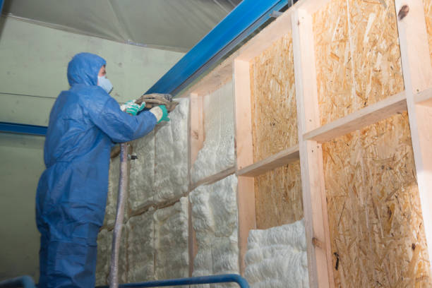 Best Insulation Repair Services  in Hemphill, TX