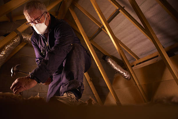 Best Garage Insulation Installation  in Hemphill, TX